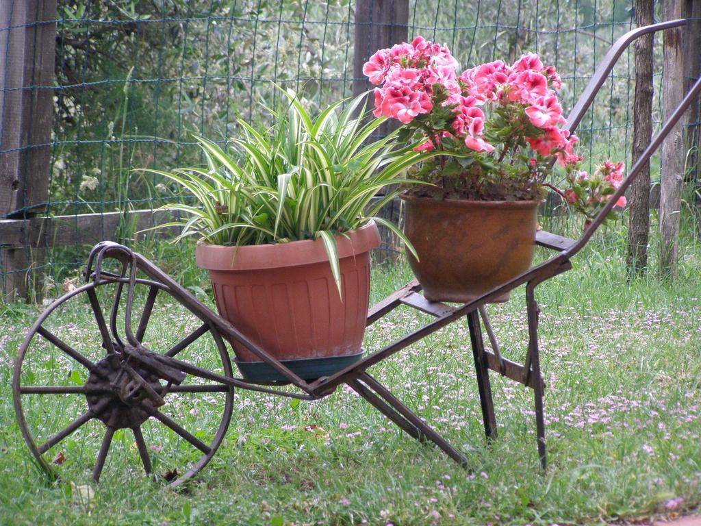 B&B Le Grazie Piaggine Экстерьер фото