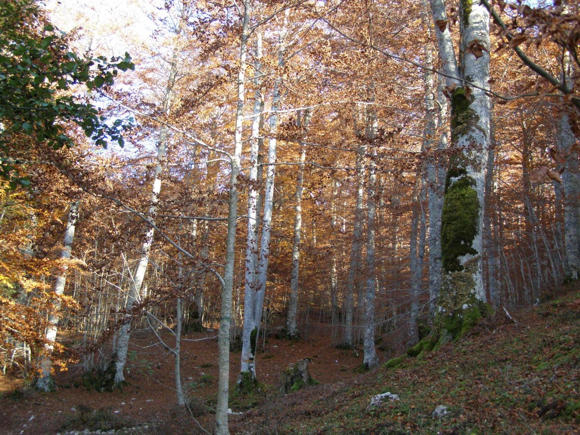 B&B Le Grazie Piaggine Экстерьер фото